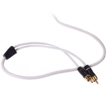 FUSION Performance RCA Cable - 2 Channel - 12' | 010-12615-00
