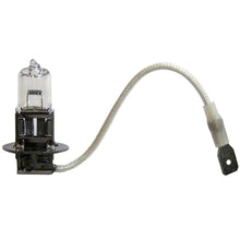 Marinco H3 Halogen Replacement Bulb f/SPL Spot Light - 24V | 202320