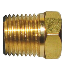 Tecnoseal Brass Cap f/M8 Pencil Zinc | 2061TP 02