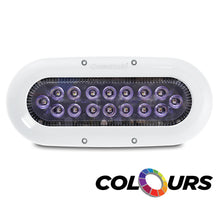 Ocean LED X-Series X16 - Colours LEDs | 012311C