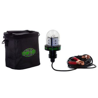 Hydro Glow HG45 45W/12V Deep Water LED Fish Light - Green Globe Style | HG45