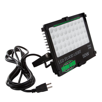 Hydro Glow FL50 50W/120VAC Flood Light - Green | FL50