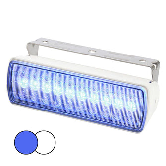 Hella Marine Sea Hawk XL Dual Color LED FloodLights - Blue/White LED - White Housing | 980950071