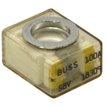 Samlex 100A Replacement Terminal Fuse | MRBF-100