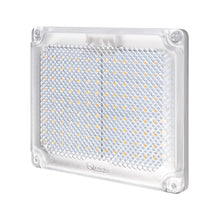 Quick Action Bicolor LED Light - Daylight/Red | FASP3112A1ACA00