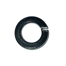 Maxwell Washer Spring - 6mm - 304 Stainless Steel | SP0474