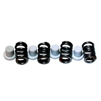 Maxwell Plunger/Spring Kit - 2200-4500 | P101550