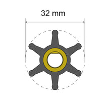 Albin Pump Premium Impeller Kit - 32 x 8 x 12mm - 6 Blade - Single Flat Insert | 06-01-001