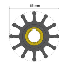 Albin Pump Premium Impeller Kit 65 x 15.8 x 41.5mm - 12 Blade - Key Insert | 06-01-018