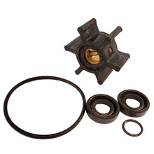 Johnson Pump Service Kit F4B-8 -9 | 09-45587