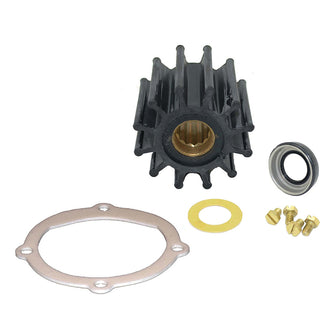 Johnson Pump Service Kit F6B-9 | 09-45825