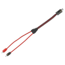 DS18 Advance Ultra Flex RCA Y Connector Cable- 1 Female to 2 Male | R1F2M