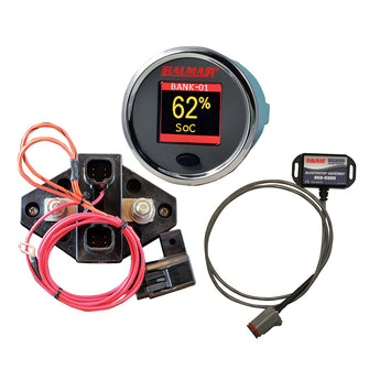 Balmar SG210 Battery Monitor Kit w/Display Shunt Gateway | SG210